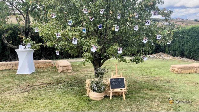 Hambroneta Organizacion Catering Boda Tania Endika arbol